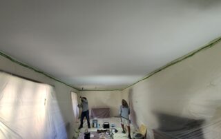 Interior Painting and Ceiling Repair in Parkton, MD